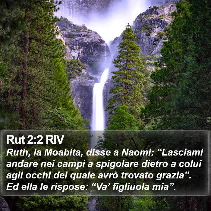 Rut 2:2 RIV Bible Study