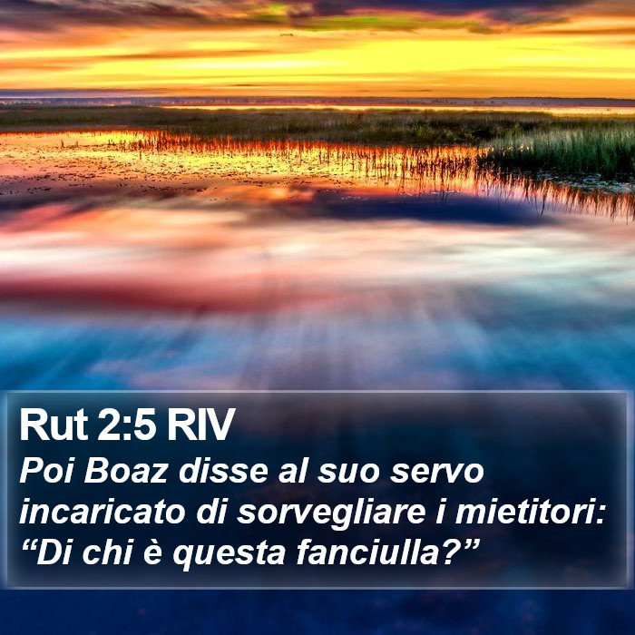 Rut 2:5 RIV Bible Study