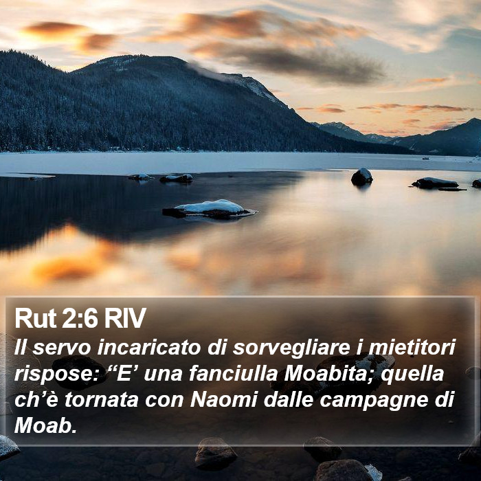 Rut 2:6 RIV Bible Study