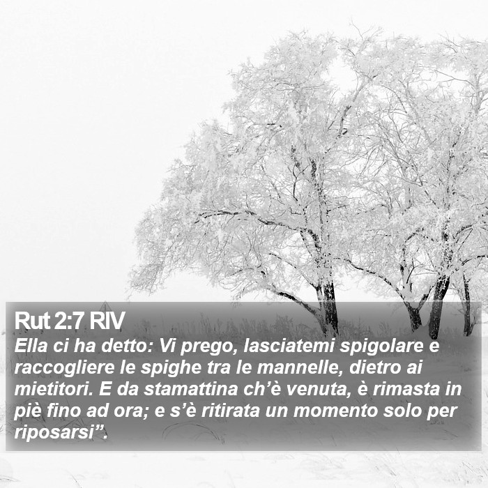 Rut 2:7 RIV Bible Study