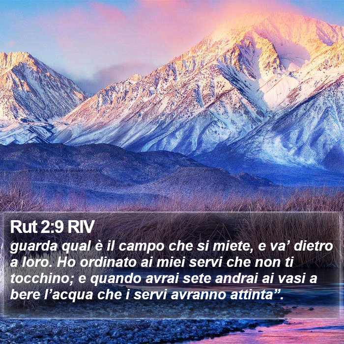 Rut 2:9 RIV Bible Study