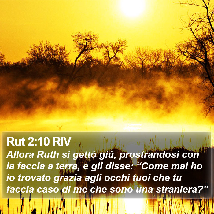 Rut 2:10 RIV Bible Study