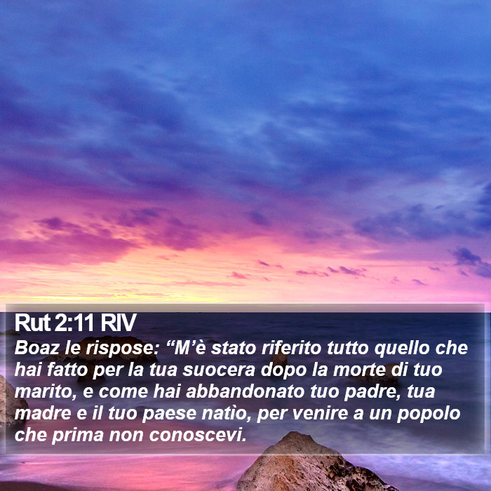 Rut 2:11 RIV Bible Study