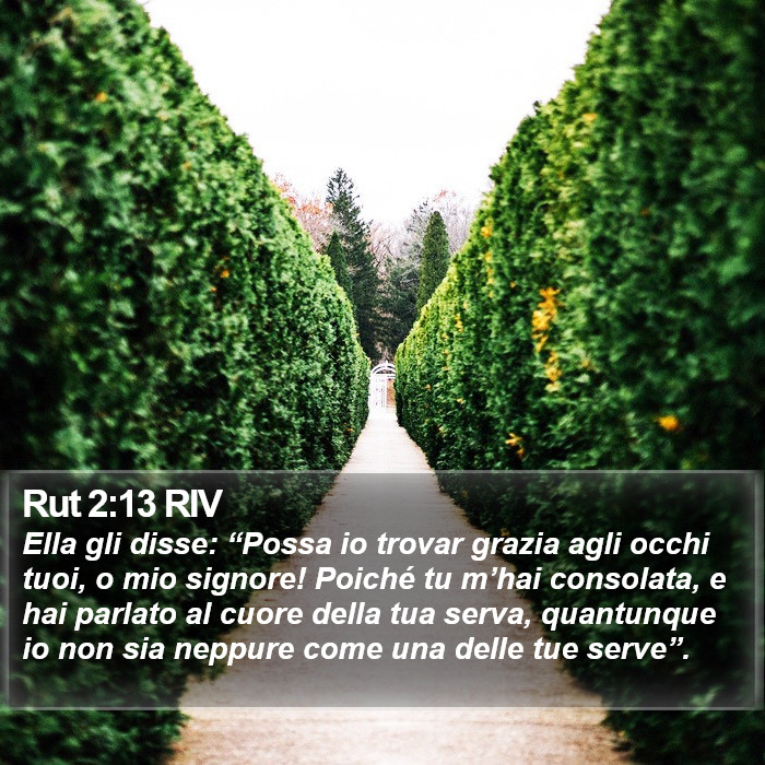 Rut 2:13 RIV Bible Study