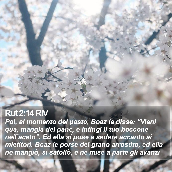 Rut 2:14 RIV Bible Study