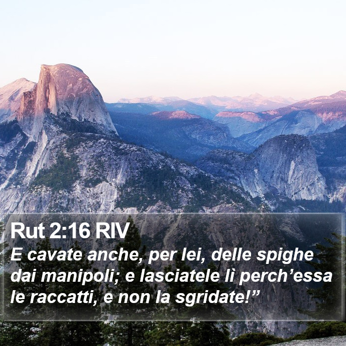 Rut 2:16 RIV Bible Study