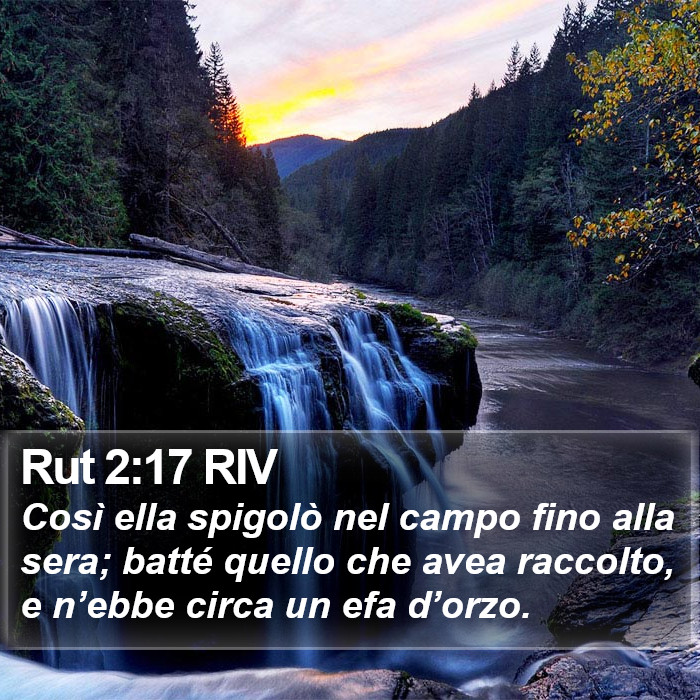 Rut 2:17 RIV Bible Study