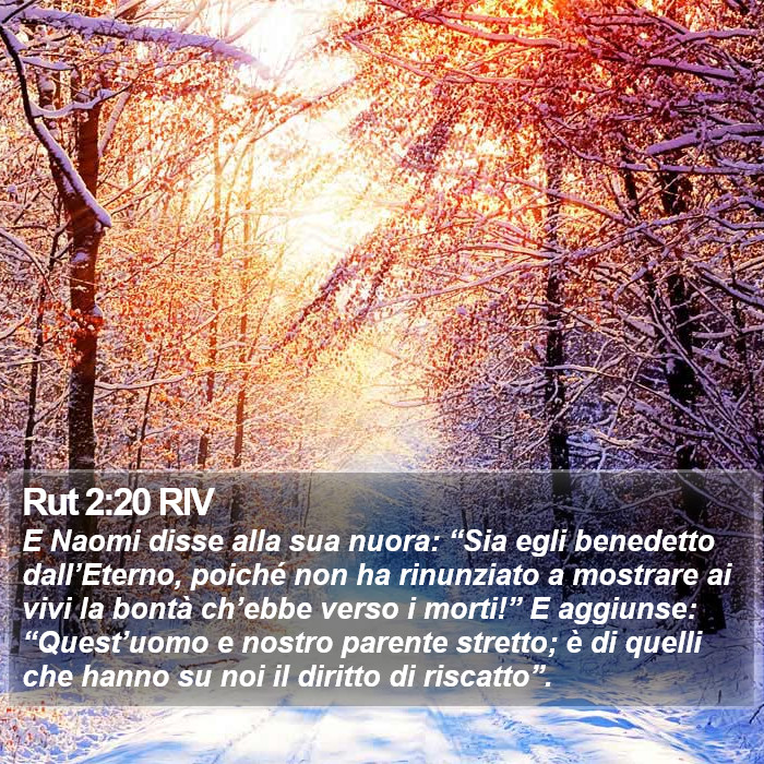 Rut 2:20 RIV Bible Study