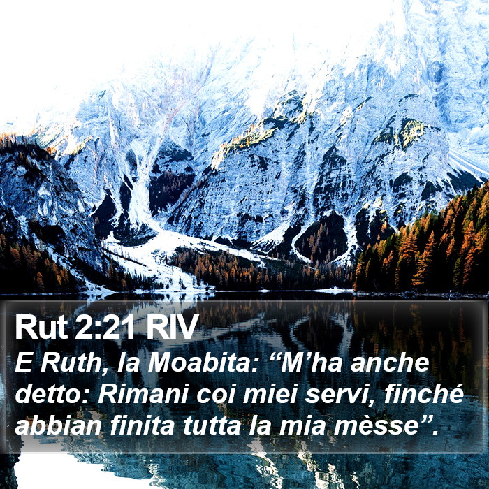 Rut 2:21 RIV Bible Study