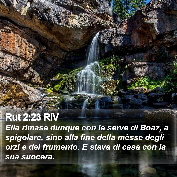 Rut 2:23 RIV Bible Study