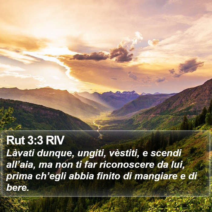 Rut 3:3 RIV Bible Study