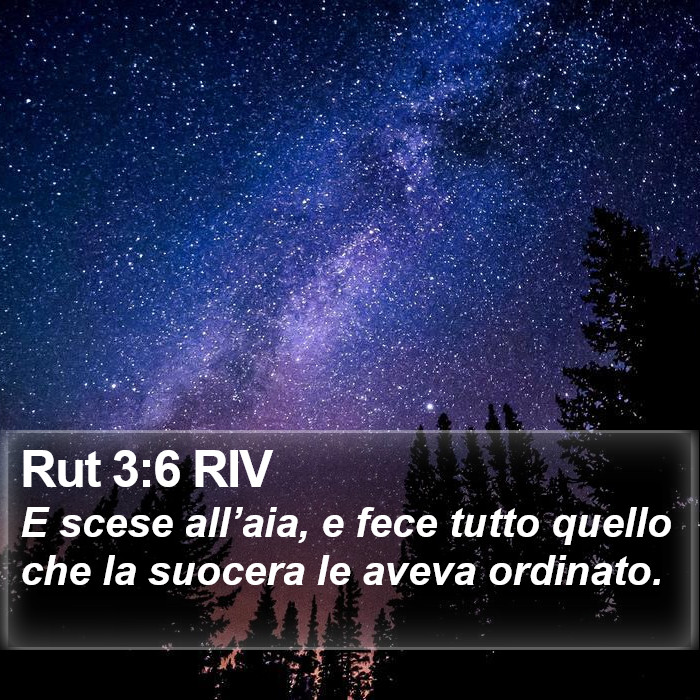 Rut 3:6 RIV Bible Study