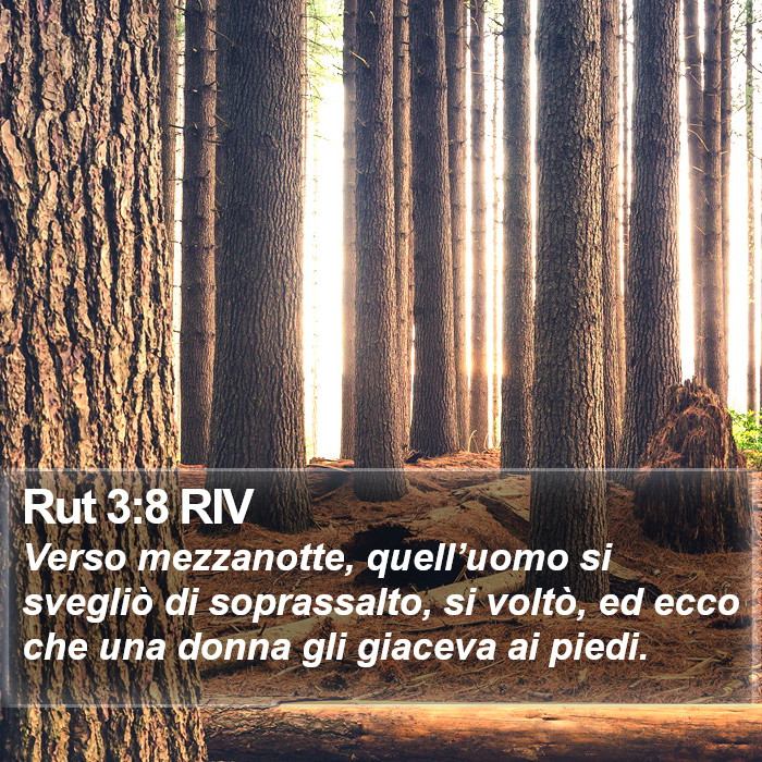 Rut 3:8 RIV Bible Study