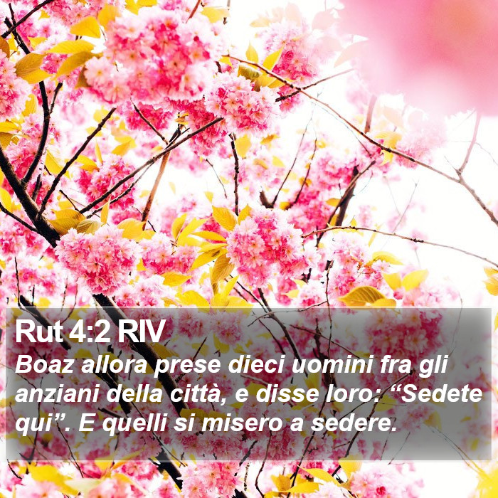 Rut 4:2 RIV Bible Study