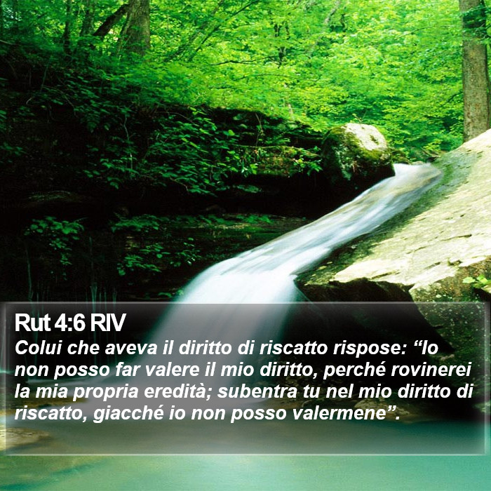 Rut 4:6 RIV Bible Study