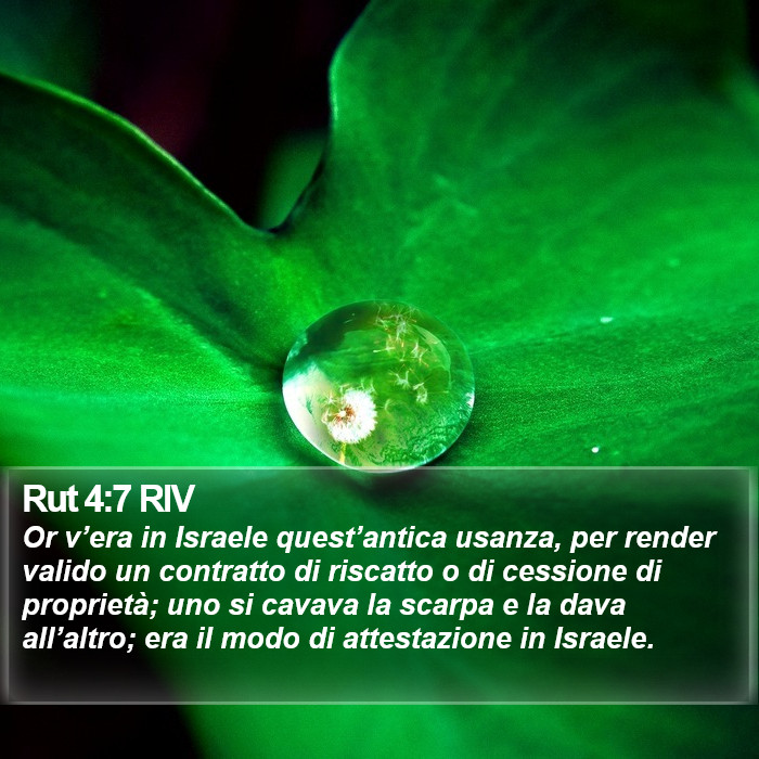 Rut 4:7 RIV Bible Study