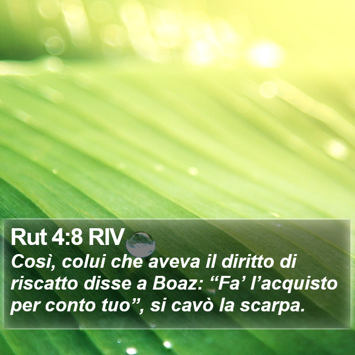 Rut 4:8 RIV Bible Study