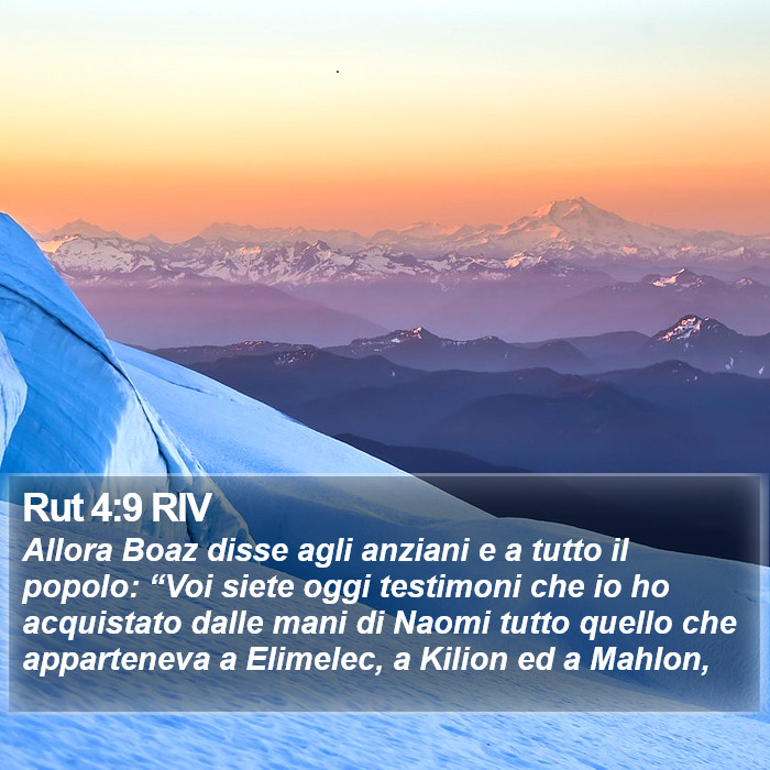 Rut 4:9 RIV Bible Study