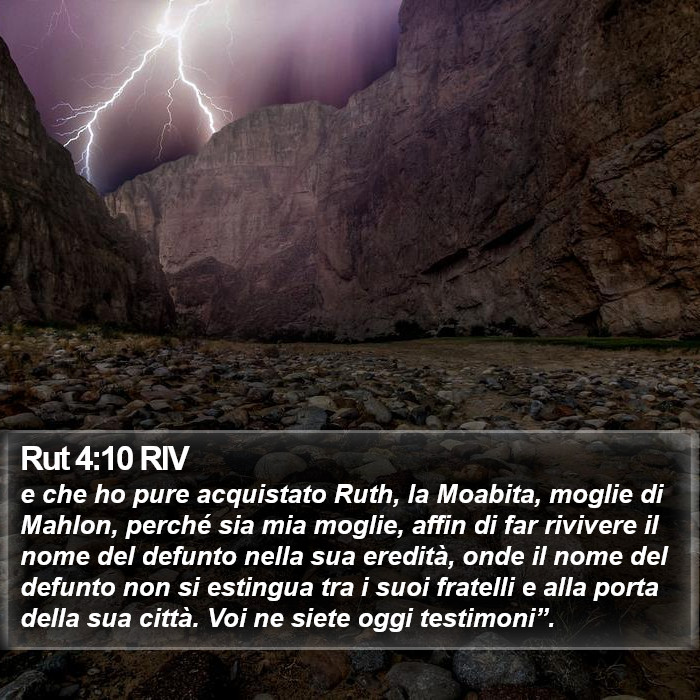 Rut 4:10 RIV Bible Study