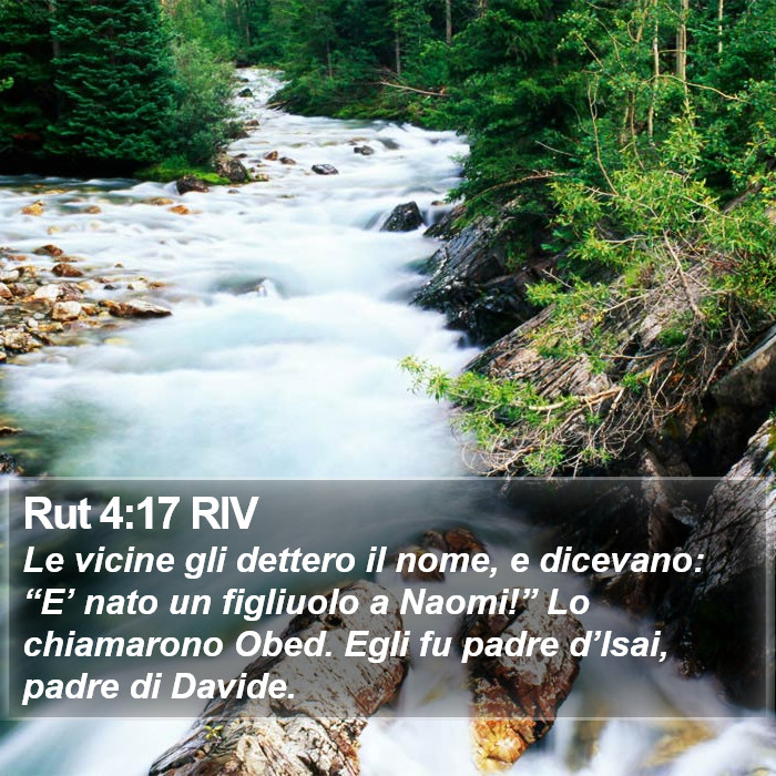 Rut 4:17 RIV Bible Study