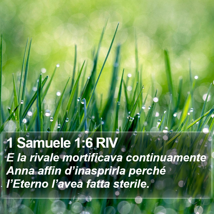 1 Samuele 1:6 RIV Bible Study