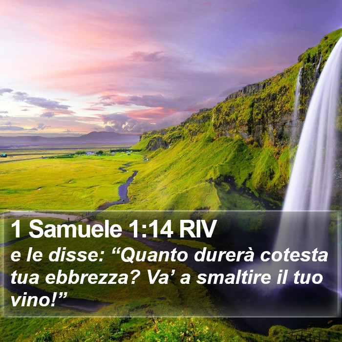 1 Samuele 1:14 RIV Bible Study