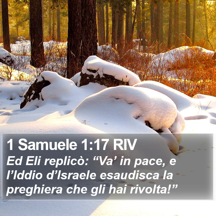 1 Samuele 1:17 RIV Bible Study