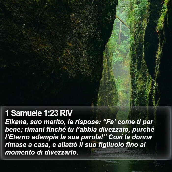 1 Samuele 1:23 RIV Bible Study