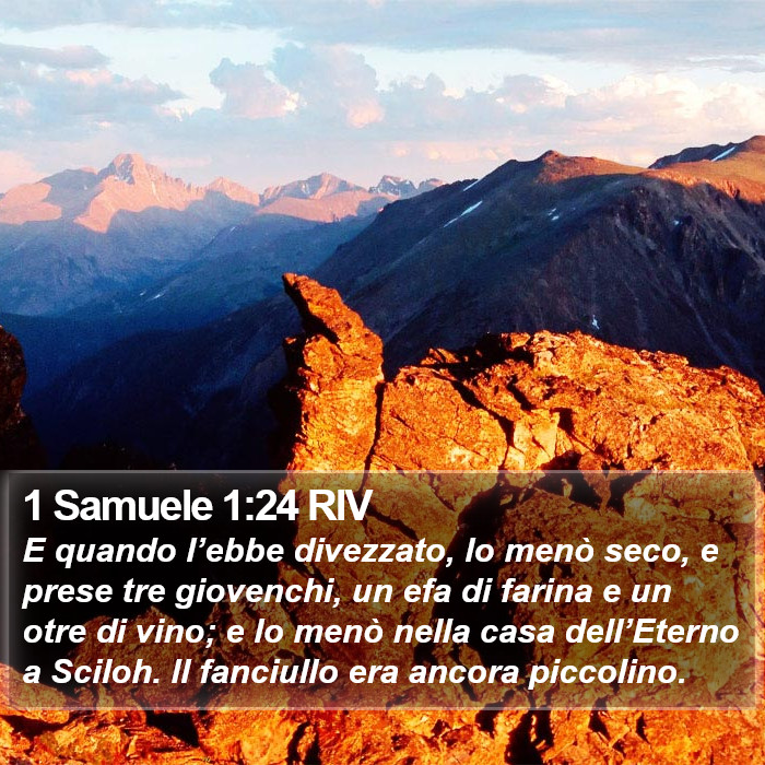 1 Samuele 1:24 RIV Bible Study