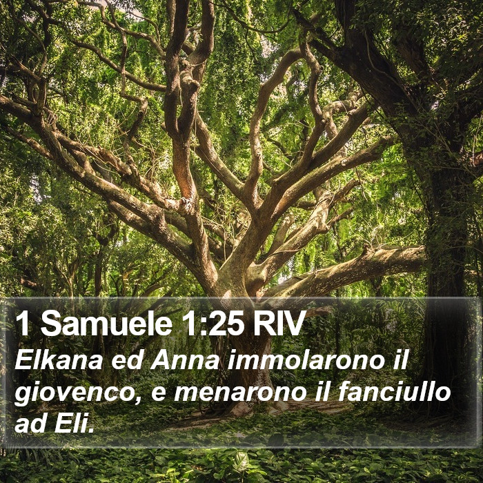 1 Samuele 1:25 RIV Bible Study