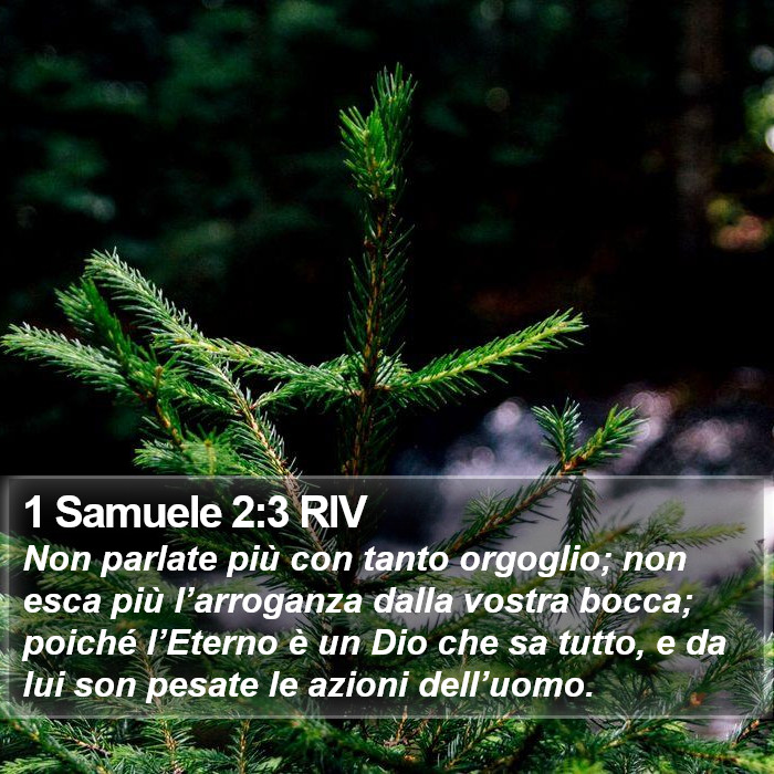 1 Samuele 2:3 RIV Bible Study