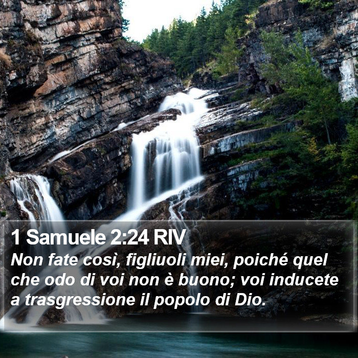 1 Samuele 2:24 RIV Bible Study