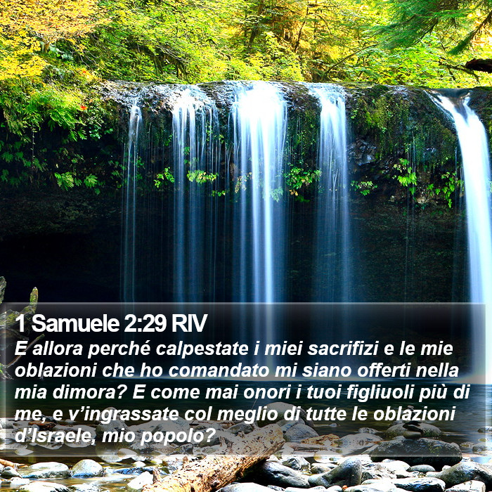 1 Samuele 2:29 RIV Bible Study