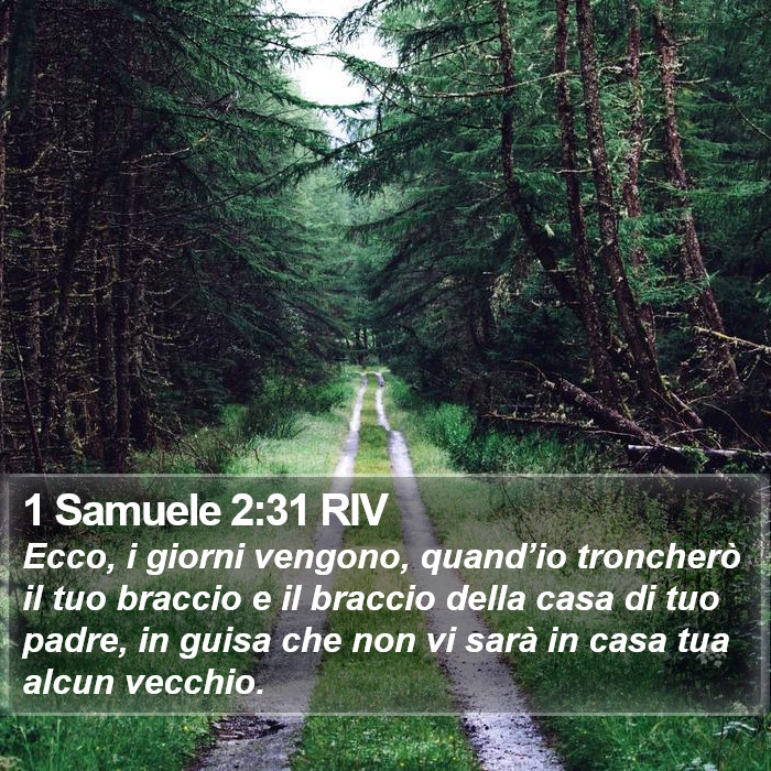 1 Samuele 2:31 RIV Bible Study