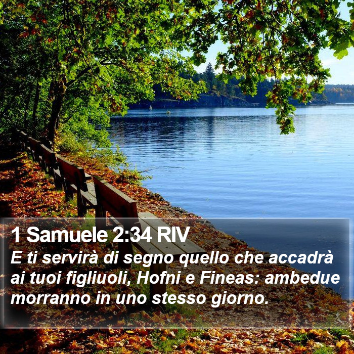 1 Samuele 2:34 RIV Bible Study