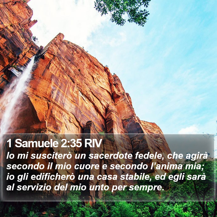 1 Samuele 2:35 RIV Bible Study