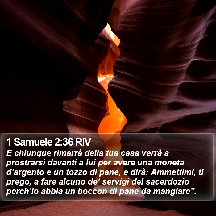 1 Samuele 2:36 RIV Bible Study