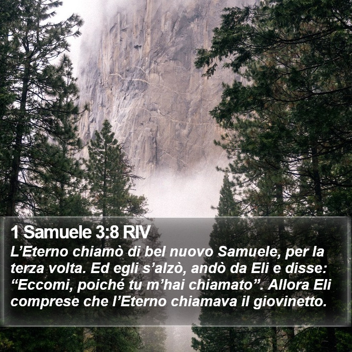 1 Samuele 3:8 RIV Bible Study