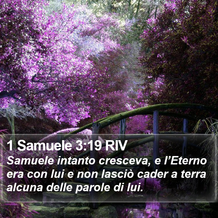 1 Samuele 3:19 RIV Bible Study