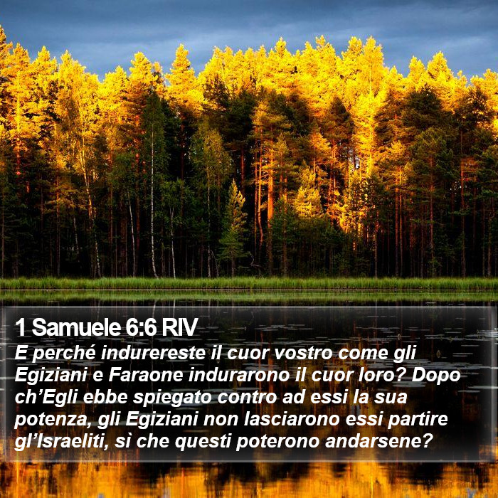 1 Samuele 6:6 RIV Bible Study