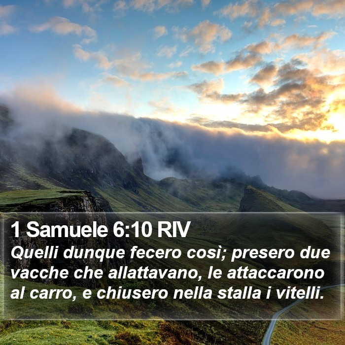 1 Samuele 6:10 RIV Bible Study