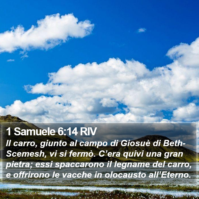 1 Samuele 6:14 RIV Bible Study