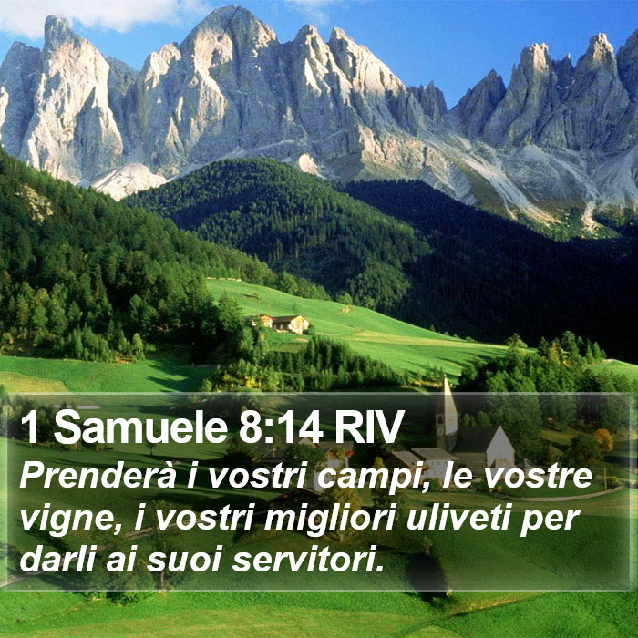 1 Samuele 8:14 RIV Bible Study