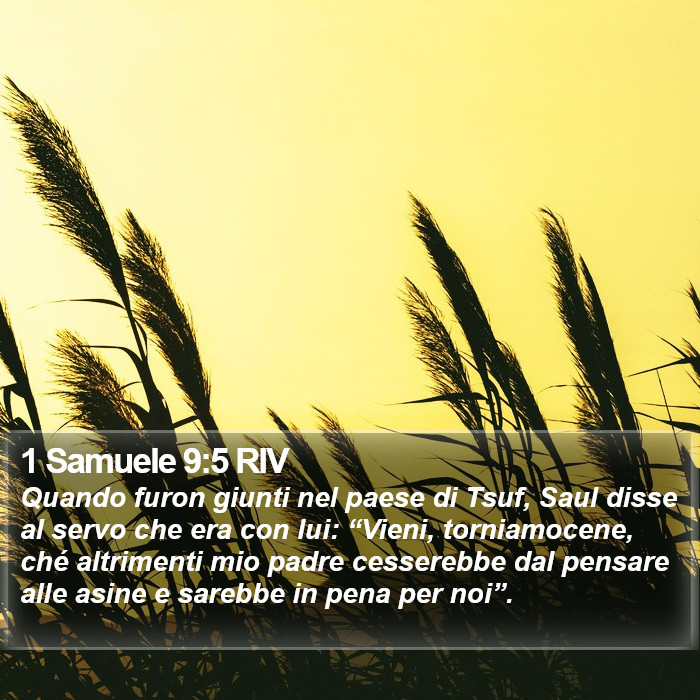 1 Samuele 9:5 RIV Bible Study