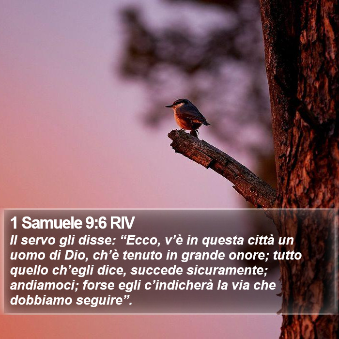 1 Samuele 9:6 RIV Bible Study