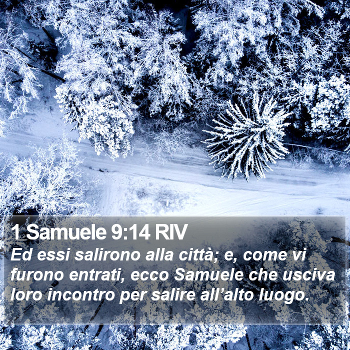 1 Samuele 9:14 RIV Bible Study