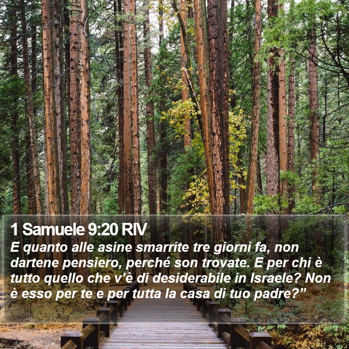 1 Samuele 9:20 RIV Bible Study