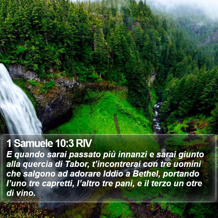 1 Samuele 10:3 RIV Bible Study