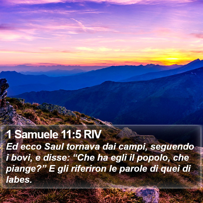 1 Samuele 11:5 RIV Bible Study