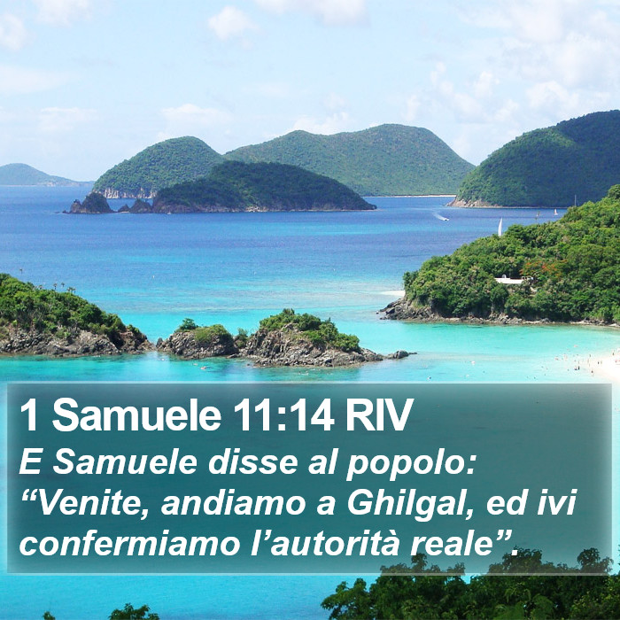 1 Samuele 11:14 RIV Bible Study